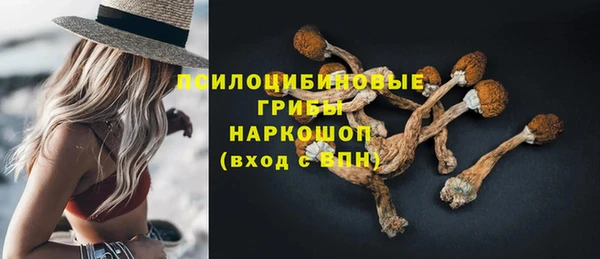 PSILOCYBIN Верхний Тагил