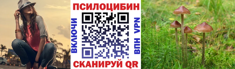 Галлюциногенные грибы ЛСД  kraken как войти  Власиха 